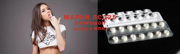 ПСИЛОЦИБИНОВЫЕ ГРИБЫ Бронницы