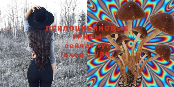 соль курить ск Бородино