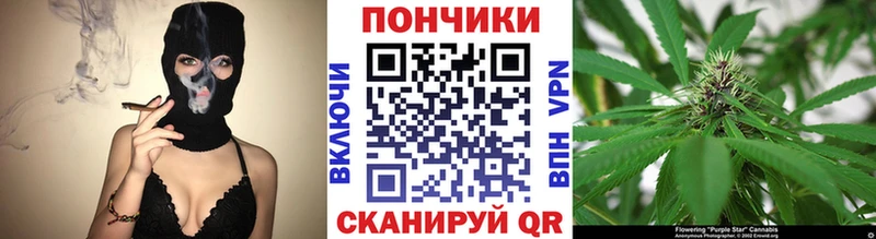 как найти закладки  МЕГА tor  Канабис Ganja  Старица 